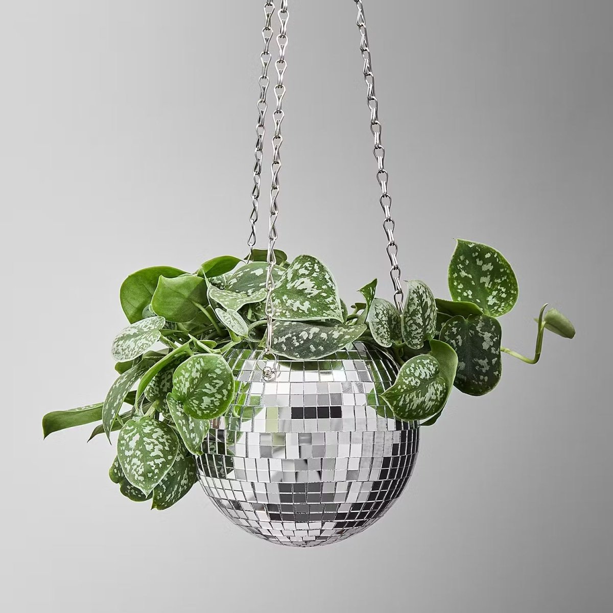 DISCO Blumenübertopf zum Hängen