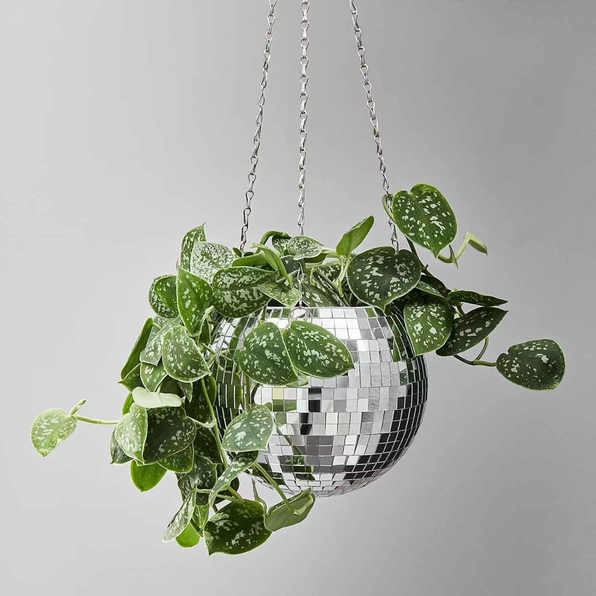 DISCO Blumenübertopf zum Hängen