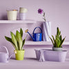 TWIST Vase
