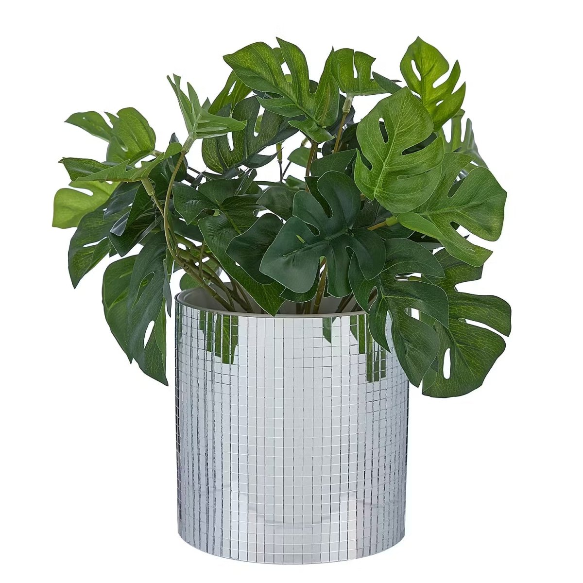 DISCO Blumentopf