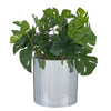 DISCO Blumentopf