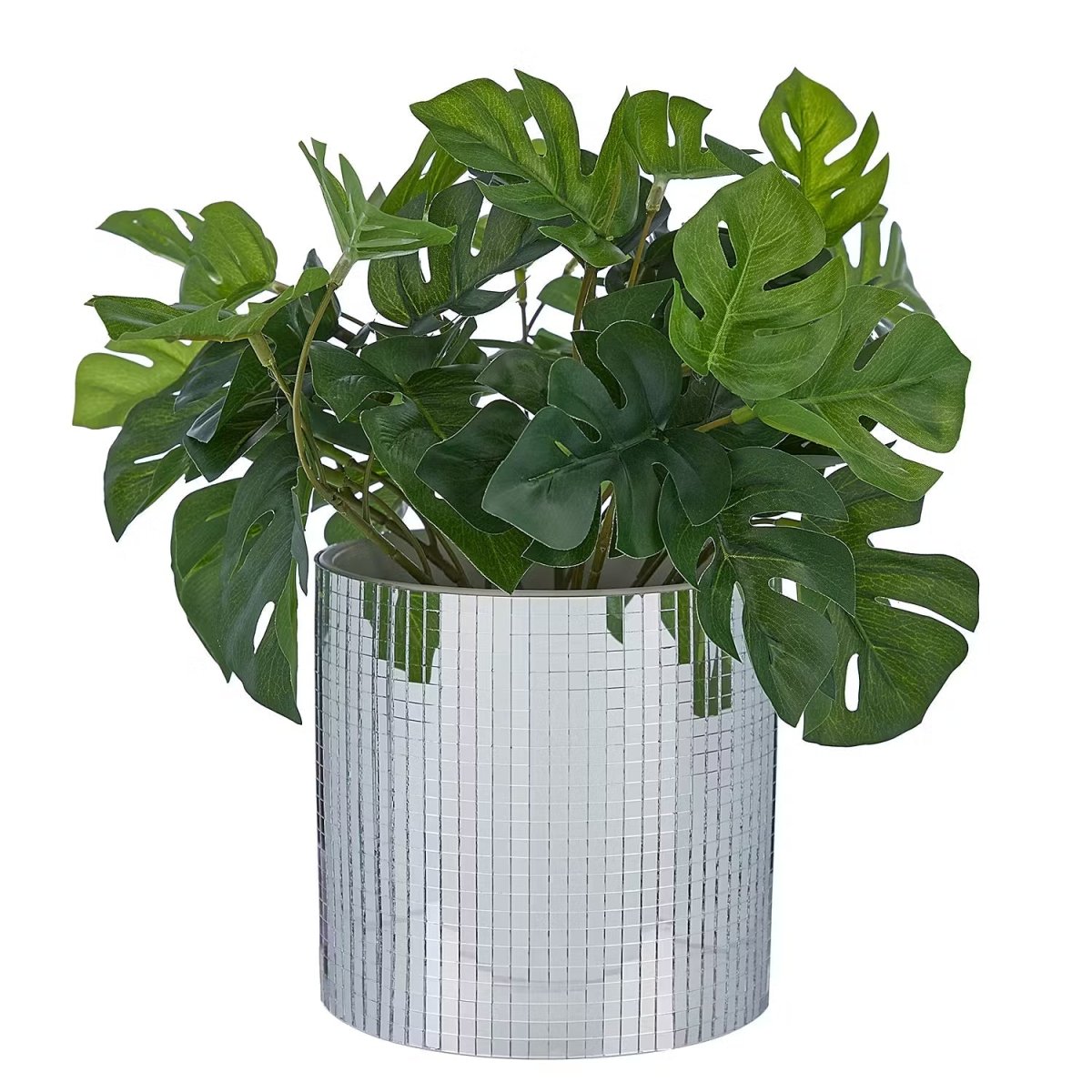 DISCO Blumentopf