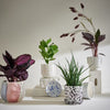 SPLASH Blumenübertopf mit Teller