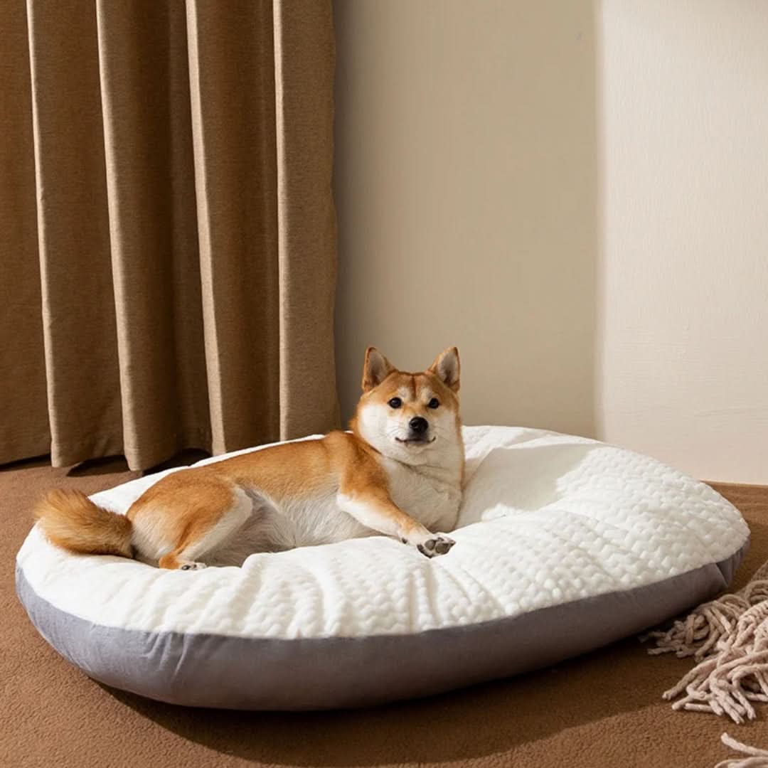 DOZZY Großes Waschbares Weiches Hundebett Mit Atmungsaktivem Stoff Komfort