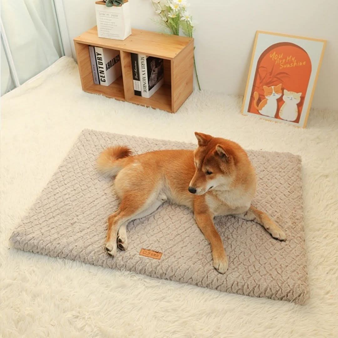 LUXIPLUSH - Orthopädisches Hundebett