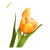 Kunstblumenbund Tulpe