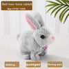 PetPlay Interactive Bunny - Bewegung & Sound für endlosen Spaß-6