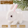 PetPlay Interactive Bunny - Bewegung & Sound für endlosen Spaß-3
