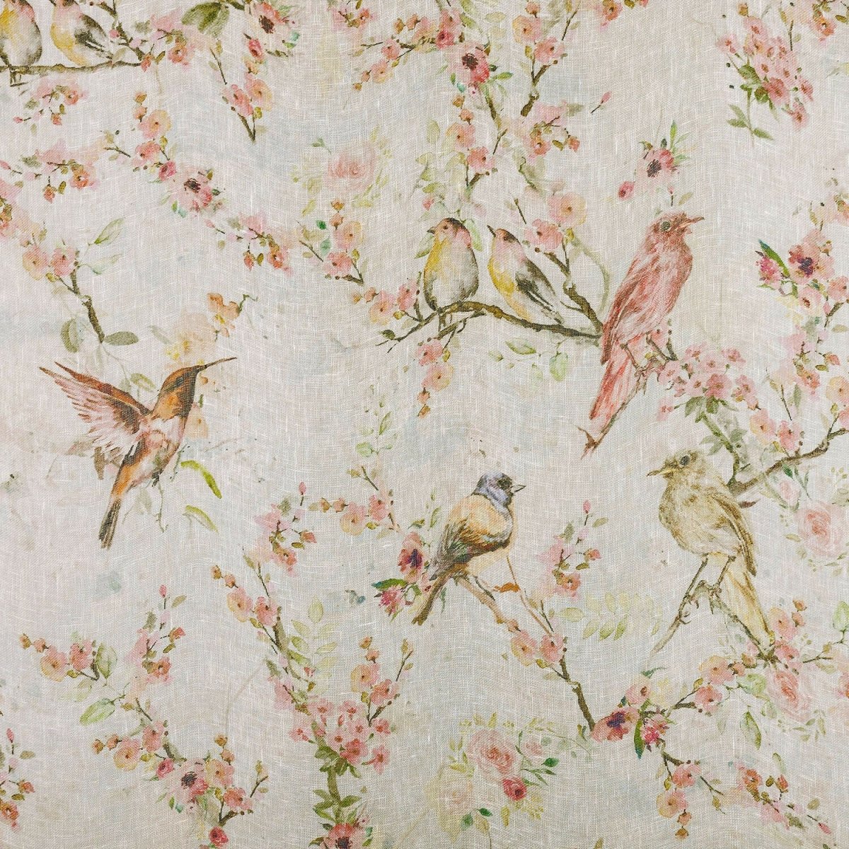 Gardine Florémont