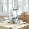 Glasglocke mit Platte Chardonne