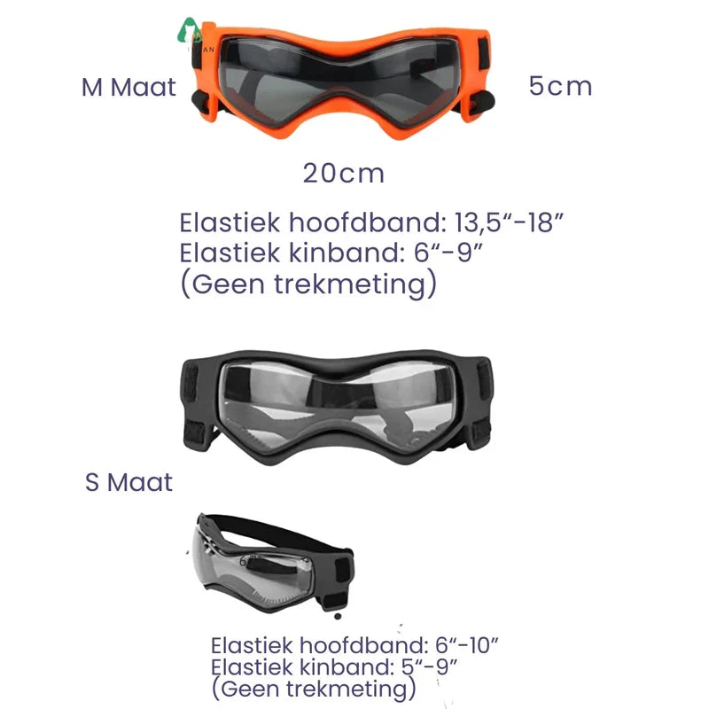 Stylischer Hundehelm mit Brille