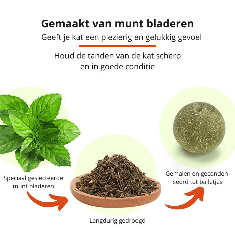 Purrfekt Katzenminze Spielzeug – Katzenspielzeug mit Minze & Rotierendem Ball für Gesunde Zähne