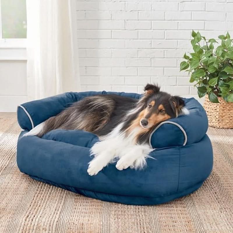 ZENPAW Orthopädisches Hundebett Für Ultimativen Komfort Gelenkunterstützung Und Angstlinderung