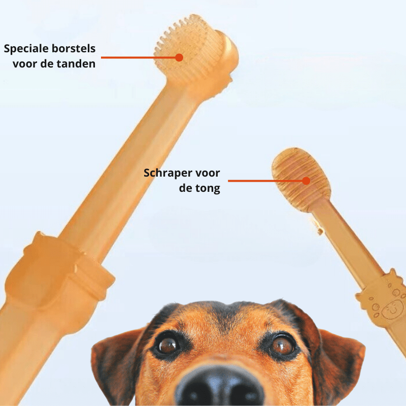 DOGGYDENT – Fingerzahnbürste Aus Silikon Für Sanfte Zahnpflege Bei Hunden & Katzen