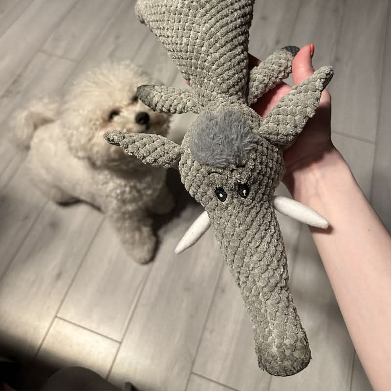 SNUGBIT Hundespielzeug Robustes Kauspielzeug Für Aktive Hunde Unterhaltung