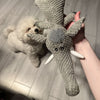 SNUGBIT Hundespielzeug Robustes Kauspielzeug Für Aktive Hunde Unterhaltung