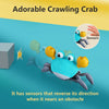 MoveeCrab – Interaktive Krabbelhilfe Mit Musik Und Licht Für Babys