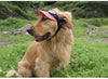 Hundegoggles UV-Schutzbrille in 7 Farben für Hunde