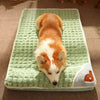 PAWCLOUD - Waschbares Weiches Hundebett