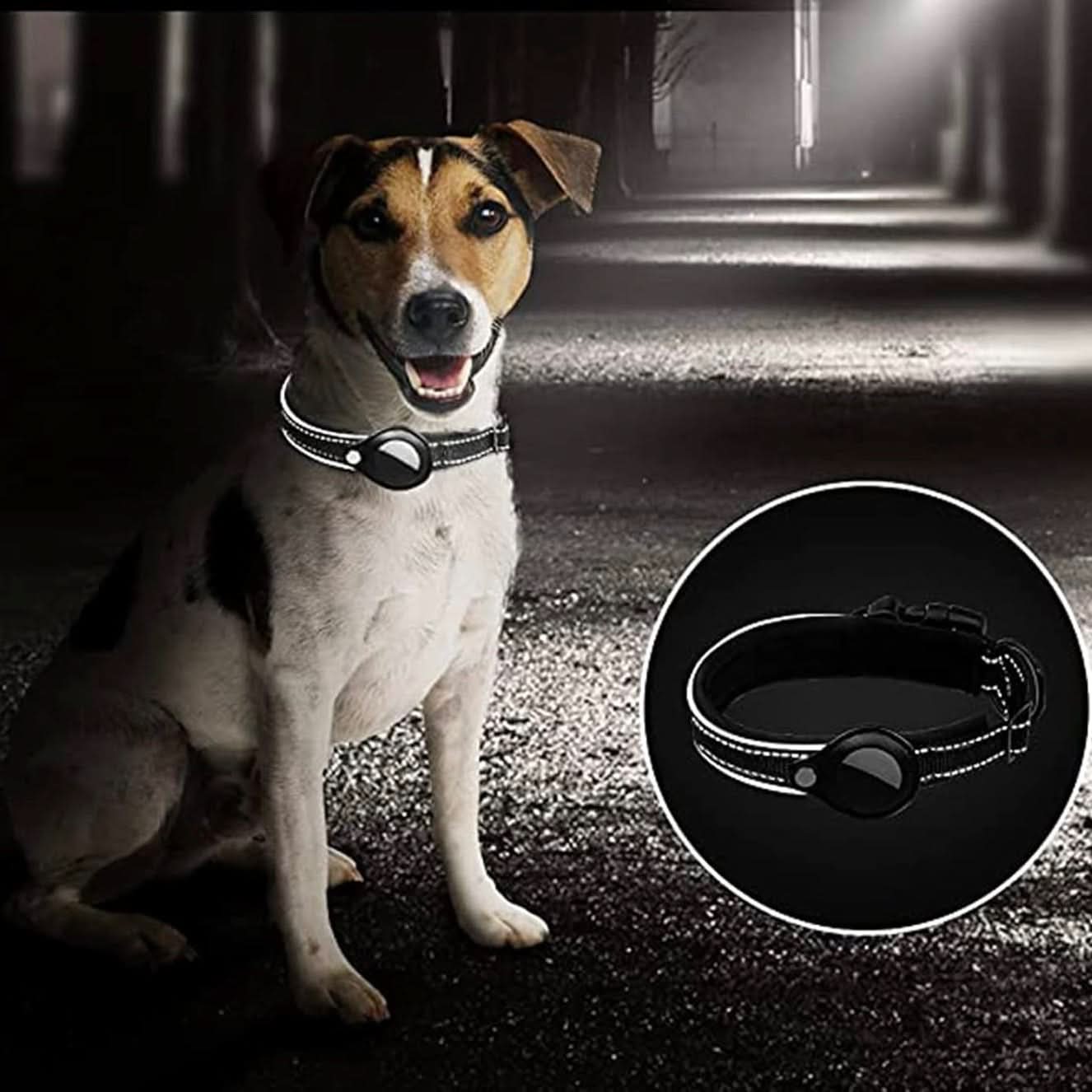 LEAZO - Ortungsetikett Hundehalsband