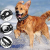 LEAZO - Ortungsetikett Hundehalsband