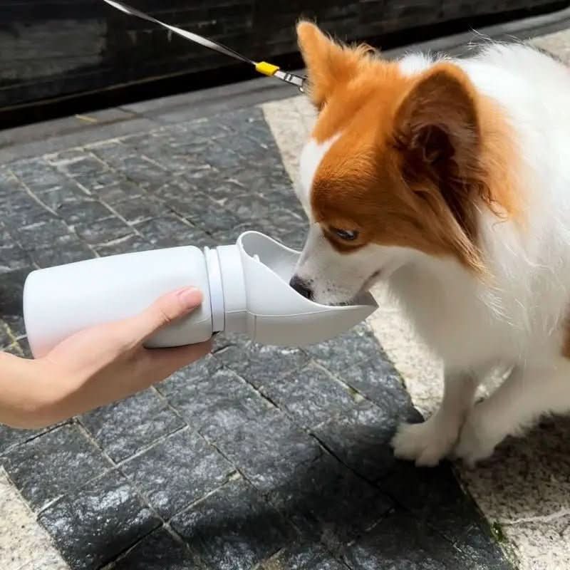 LÉO VOYAGEUR – Faltbare Trinkflasche für Hunde mit Auslaufschutz & Einhandbedienung