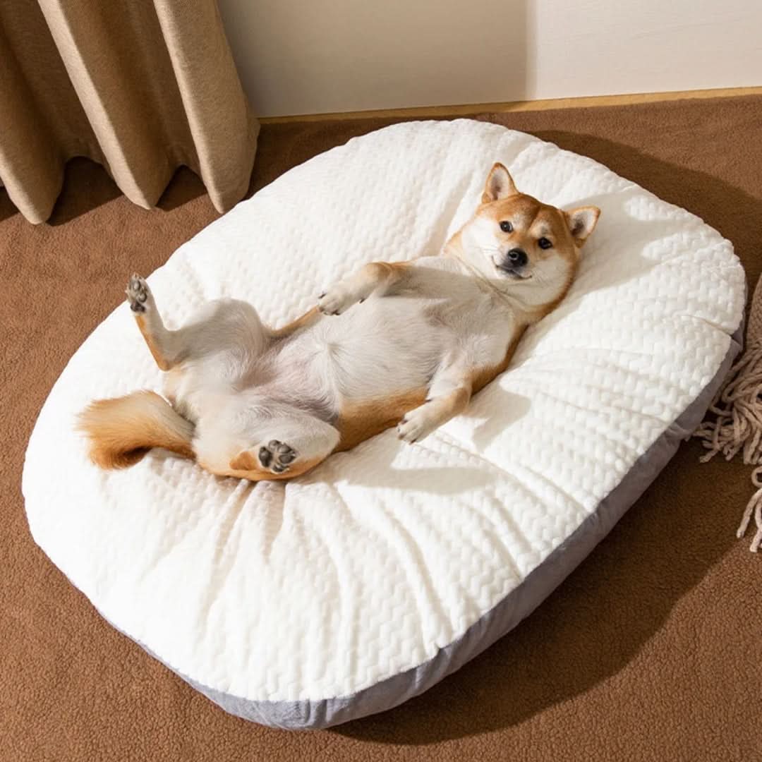 DOZZY Großes Waschbares Weiches Hundebett Mit Atmungsaktivem Stoff Komfort