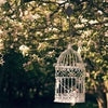 GardenLift Aufhängesystem – Höhenverstellbar & stabil für Pflanzen & Vogelhäuser-3