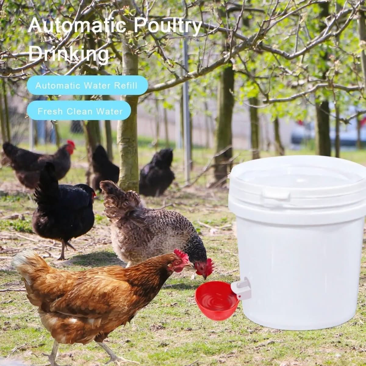 CLUCKFLOW – Automatischer Hühnerwasserer Für Gesunde Herden