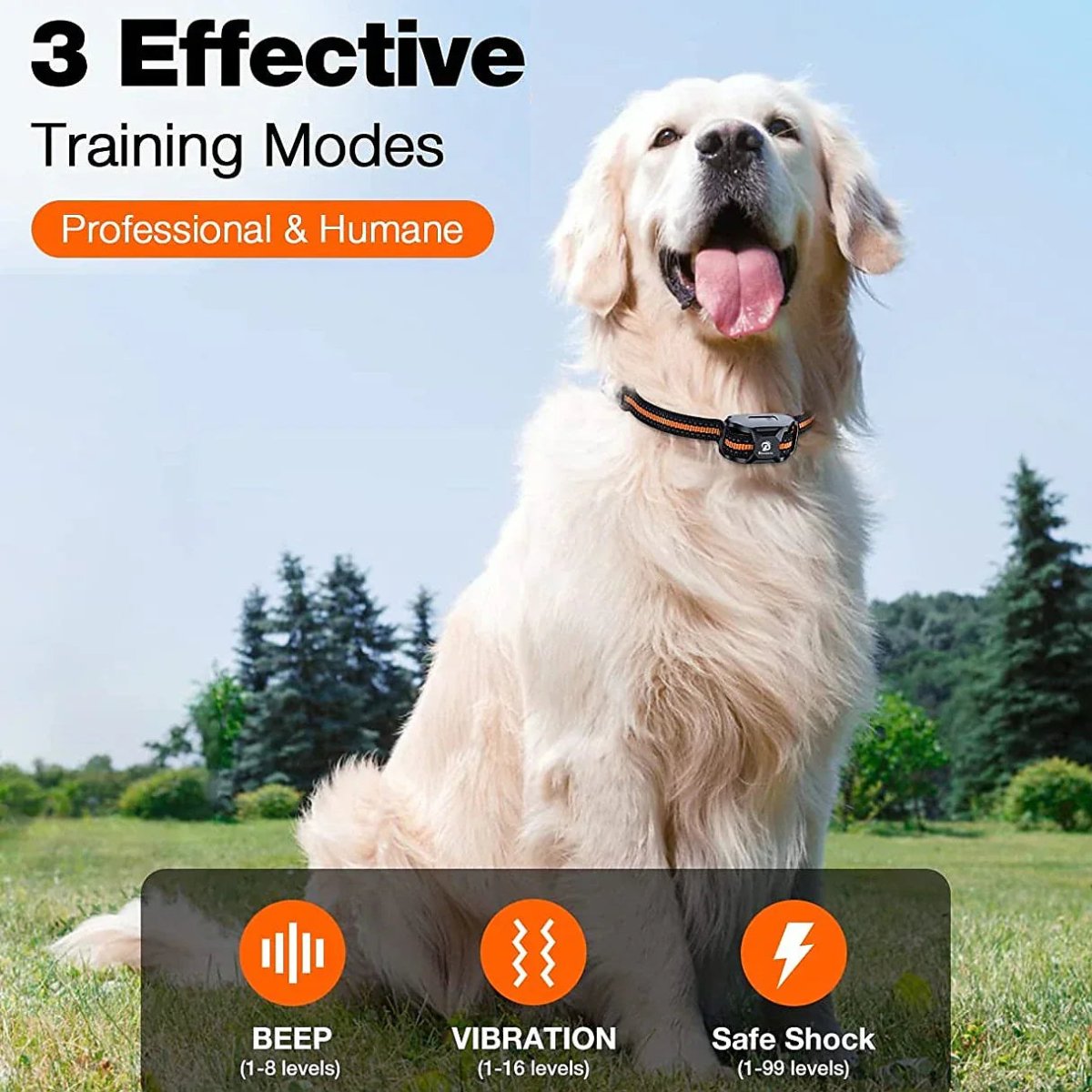 BARKPRO – Langstrecken-Hundetrainingshalsband mit einstellbarer Intensität 4