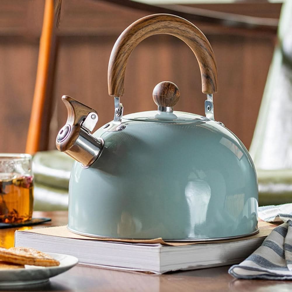 BOILVIA – 3-Liter-Wasserkocher aus Edelstahl mit komfortablem Griff 0