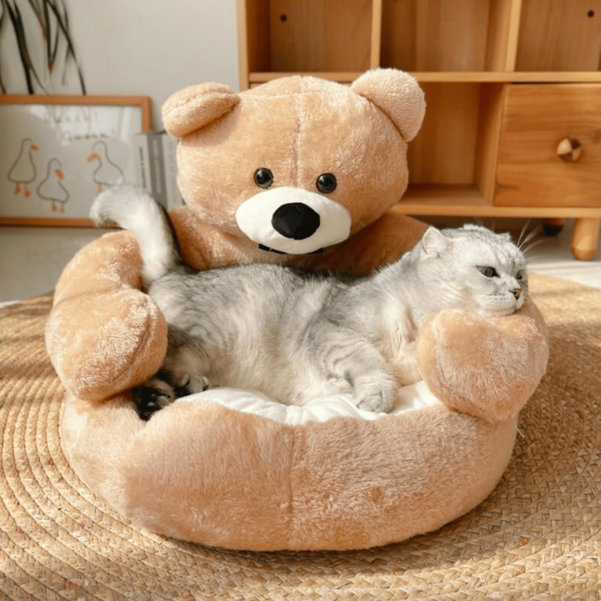 SAMIYA Katze Bett – Rundes Kuschelbett Für Geborgenen Katzenschlaf