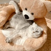 SAMIYA Katze Bett – Rundes Kuschelbett Für Geborgenen Katzenschlaf