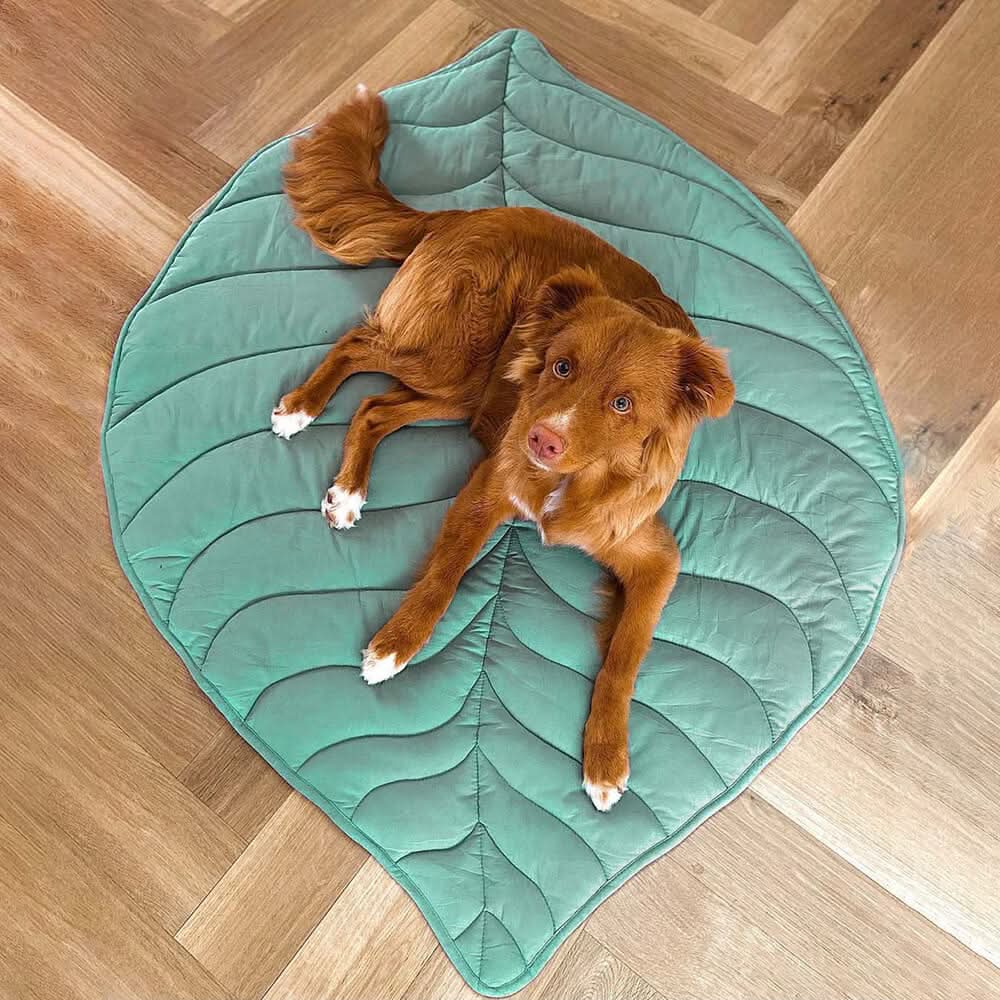 BLÄTTERNEST – Blätterförmige Hundedecke Für Komfort & Wohnstil