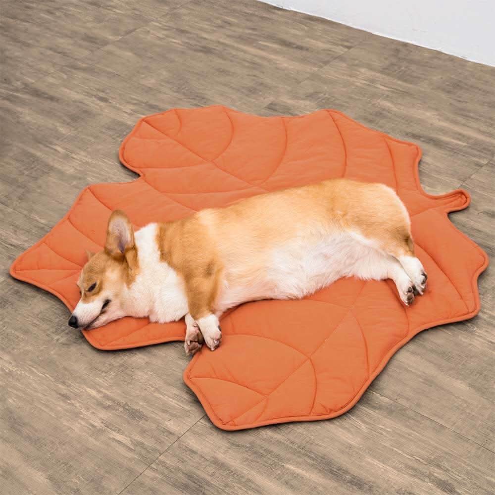BLÄTTERNEST – Blätterförmige Hundedecke Für Komfort & Wohnstil