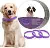 CALMDOG – Beruhigungshalsband Mit Pheromonen & Ätherischen Ölen Für Hunde