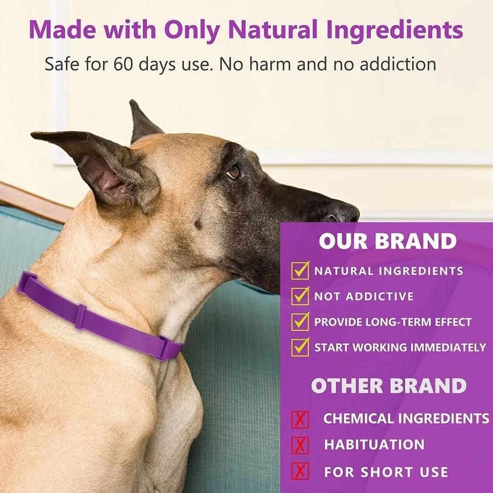 CALMDOG – Beruhigungshalsband Mit Pheromonen & Ätherischen Ölen Für Hunde