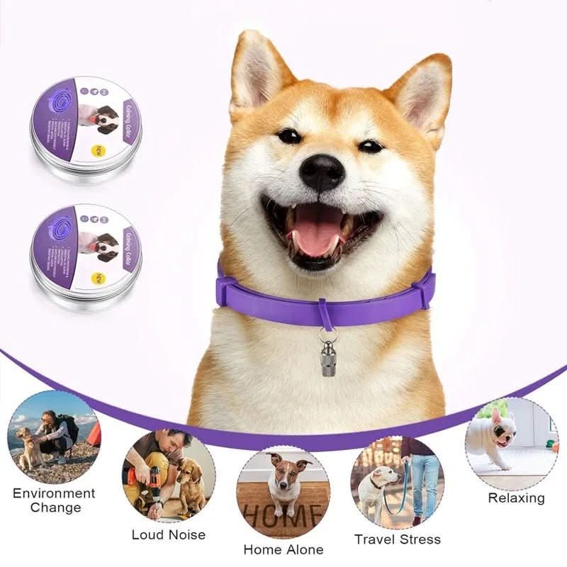 CALMDOG – Beruhigungshalsband Mit Pheromonen & Ätherischen Ölen Für Hunde