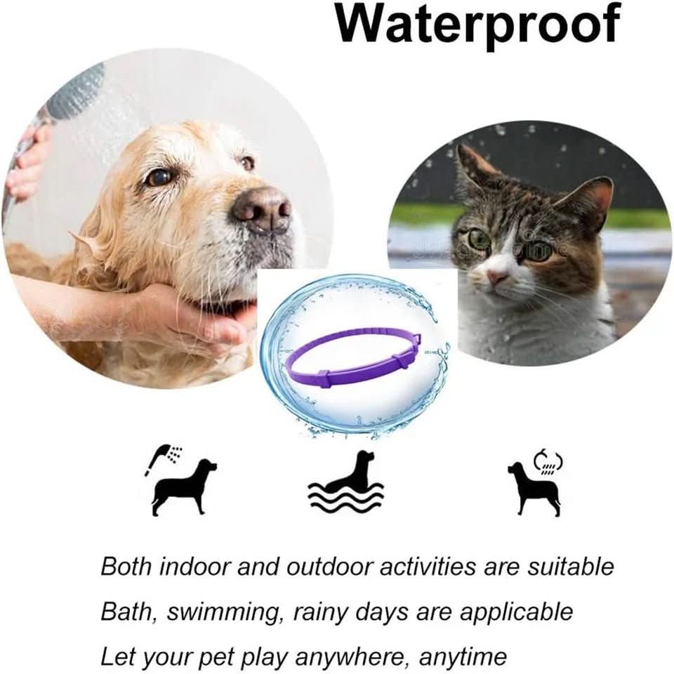 CALMDOG – Beruhigungshalsband Mit Pheromonen & Ätherischen Ölen Für Hunde