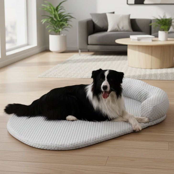 COOLTAIL – Kühlende Hundebett-Matte für Hunde und Katzen 1