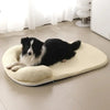 COOLTAIL – Kühlende Hundebett-Matte für Hunde und Katzen 3