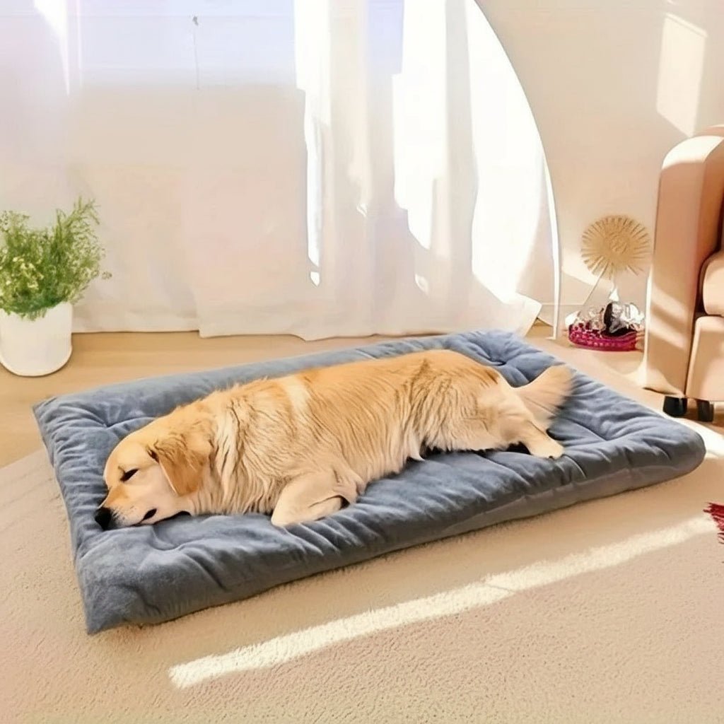 COSYBURROW – Plüsch-Hundeliege mit Kuscheldesign 4