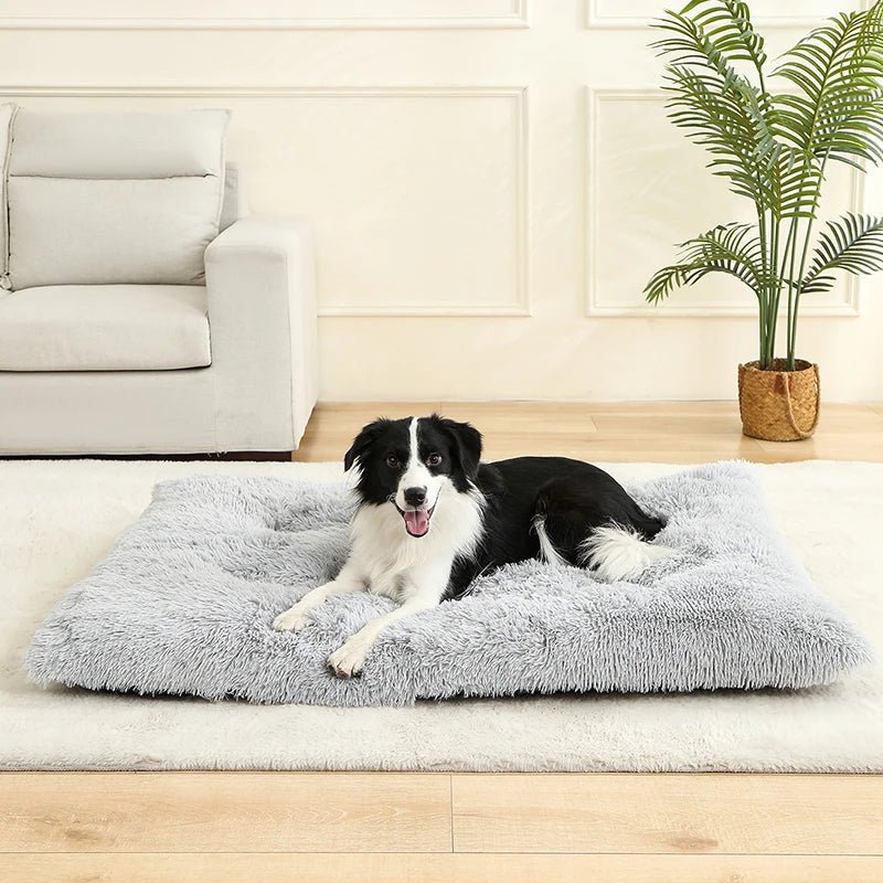 COZYPET – Plüsch-Hundebett & Katzenmatte für ultimativen Komfort 1