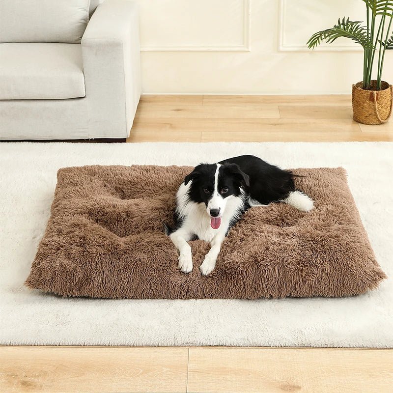 COZYPET – Plüsch-Hundebett & Katzenmatte für ultimativen Komfort 4