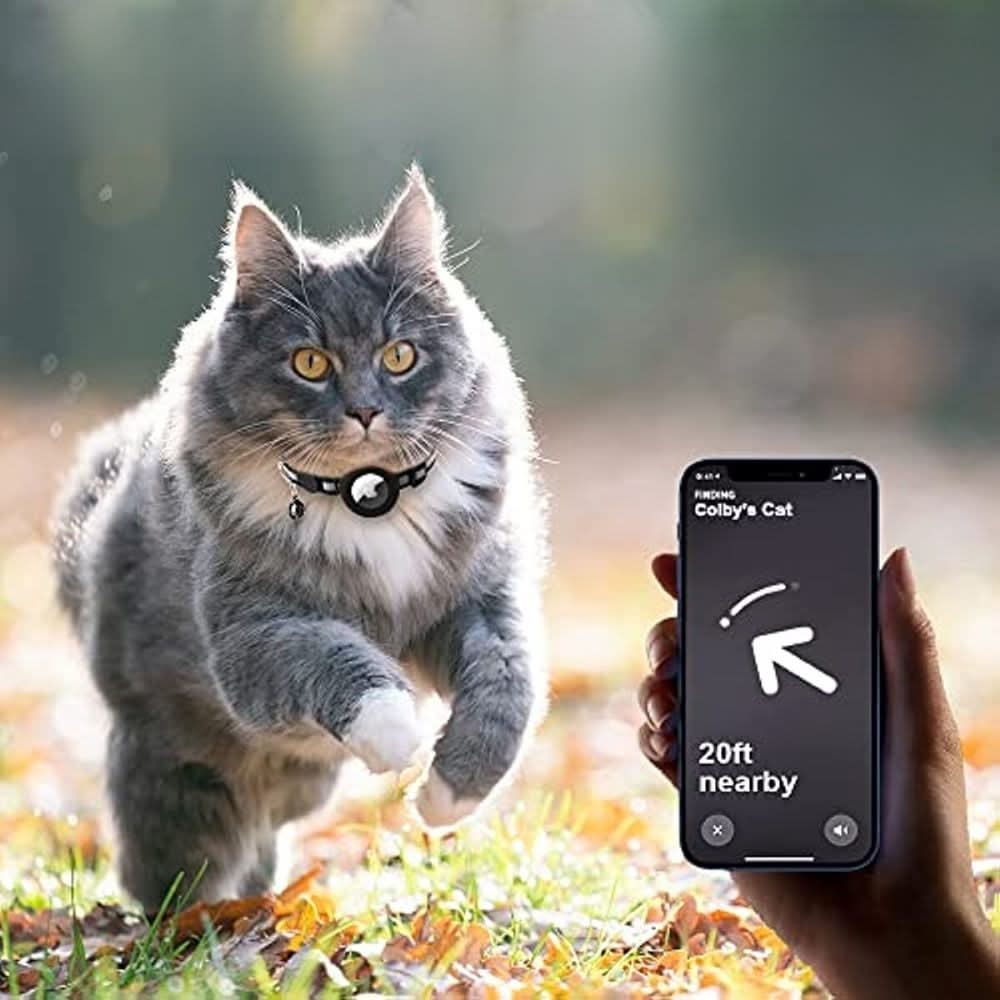 CATSAFE – GPS-Katzenhalsband mit Reflexdesign und Sicherheitsverschluss