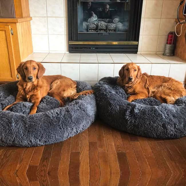 FUZZYPLUSH – Orthopädisches Plüsch-Hundebett Für Tiefen Schlaf