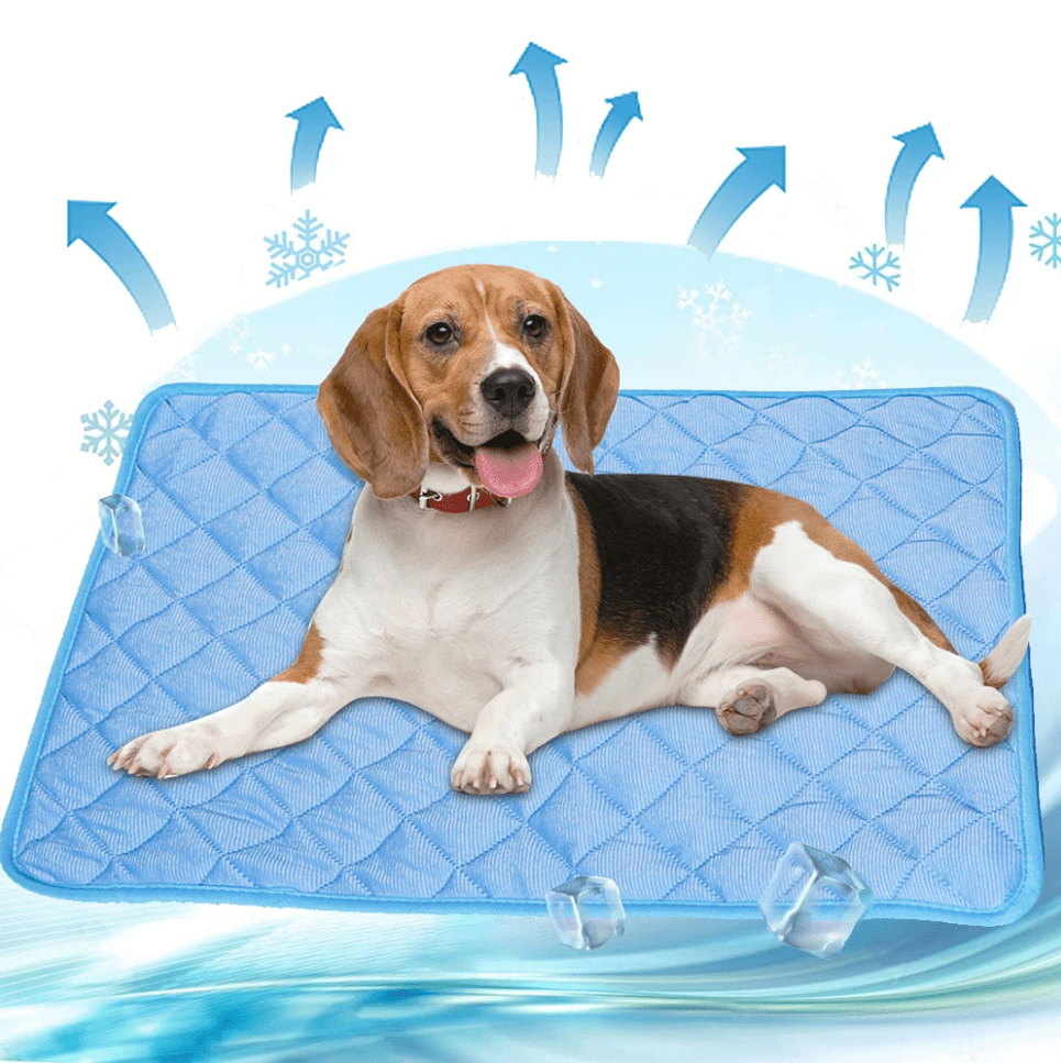 Hundekühl – Selbstkühlende Hundematte Für Heiße Tage & Entspannte Vierbeiner
