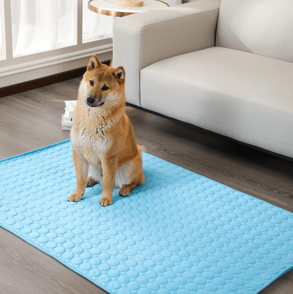 Hundekühl – Selbstkühlende Hundematte Für Heiße Tage & Entspannte Vierbeiner