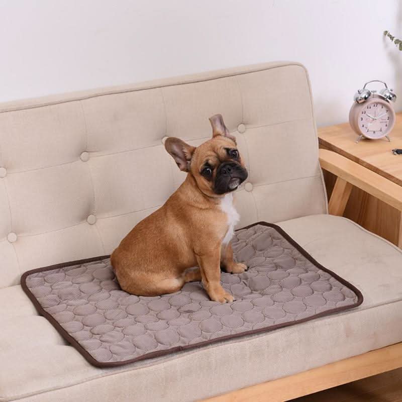 Hundekühl – Selbstkühlende Hundematte Für Heiße Tage & Entspannte Vierbeiner
