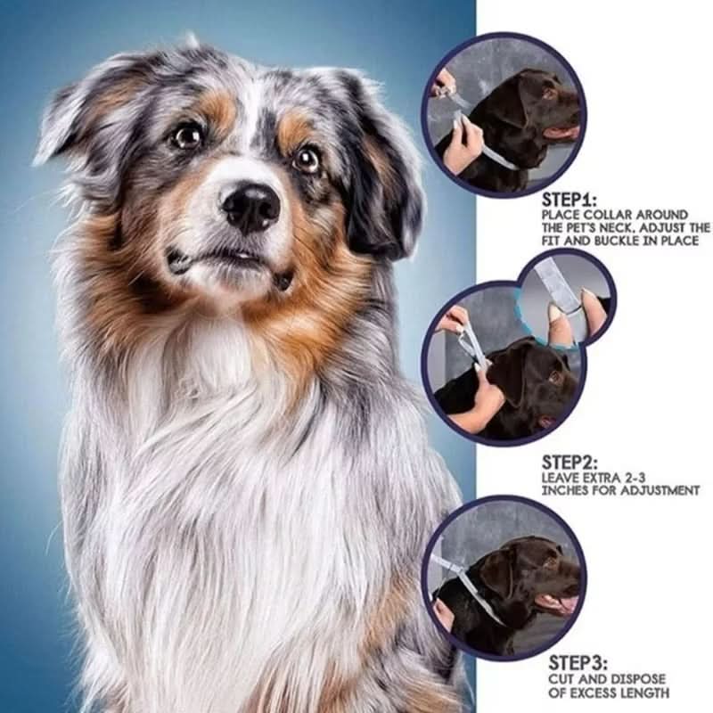 PAWTECT - Anti-Zecke Und Floh Halsband